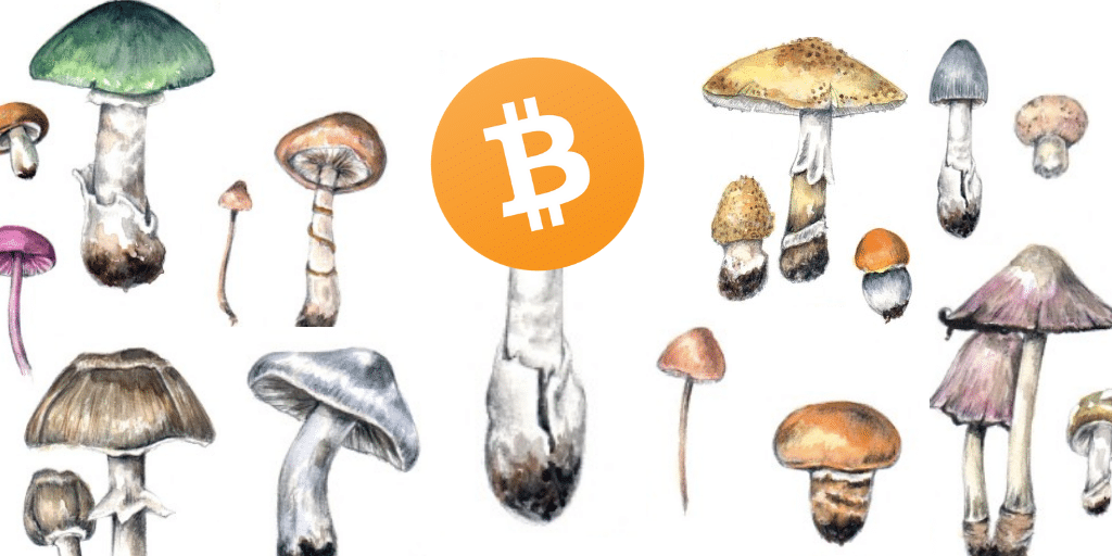 Bitcoin is a Decentralized Organism – Part 1