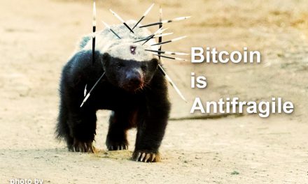 Bitcoin is Antifragile