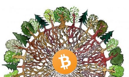 Bitcoin is a Catalyst for Human Evolution