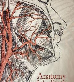 Anatomy of the State – Part 1